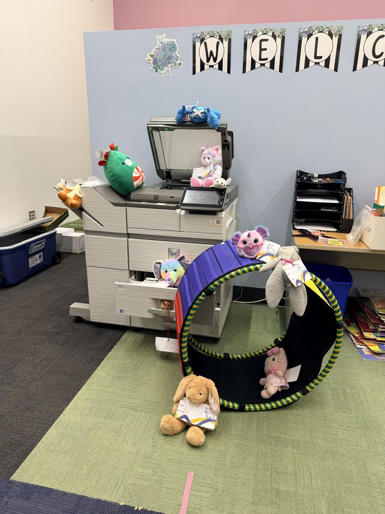 Stuffy Sleepover