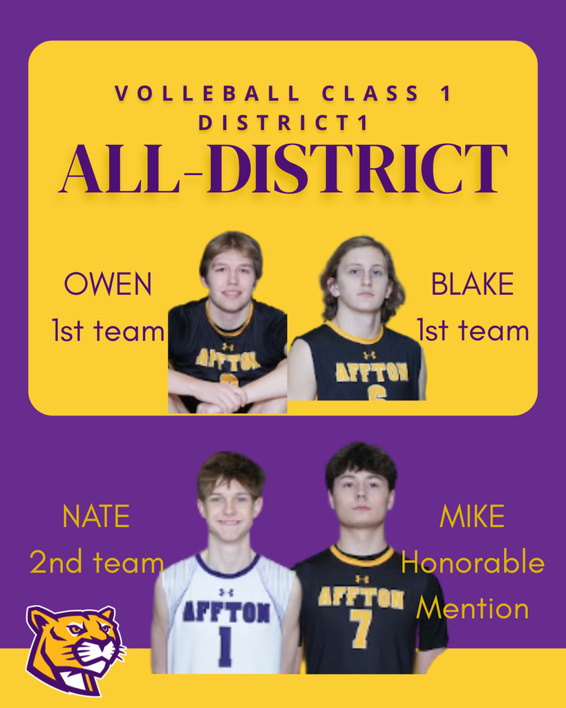 volleyball district honors
