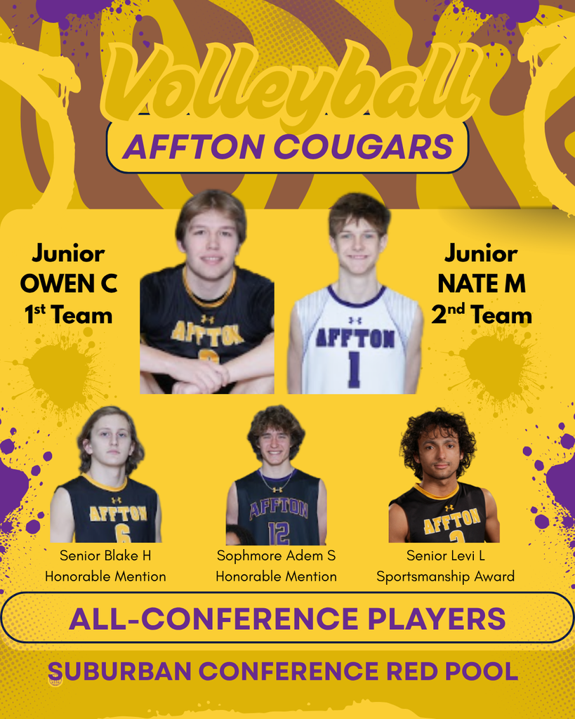 Volleyball conference awards