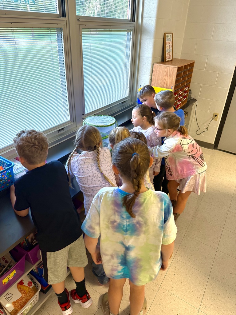 Afton students looking at butterflies in their cage