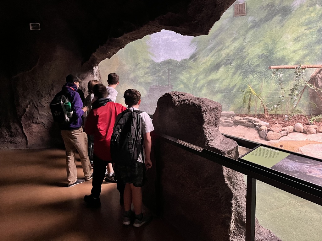 Students looking at animal exhibit