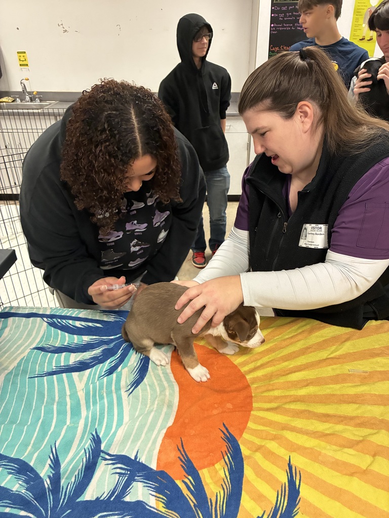 Student and Vet helping puppy