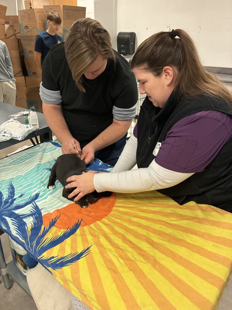 Student and Vet with puppy