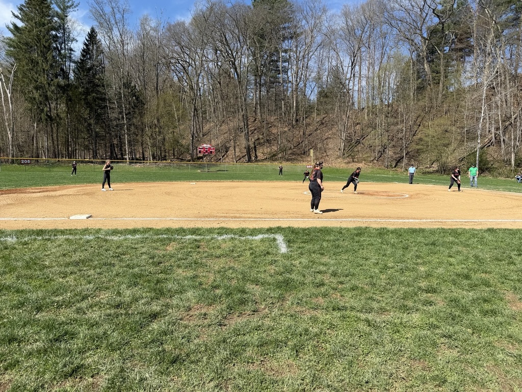 softball players in action on the field