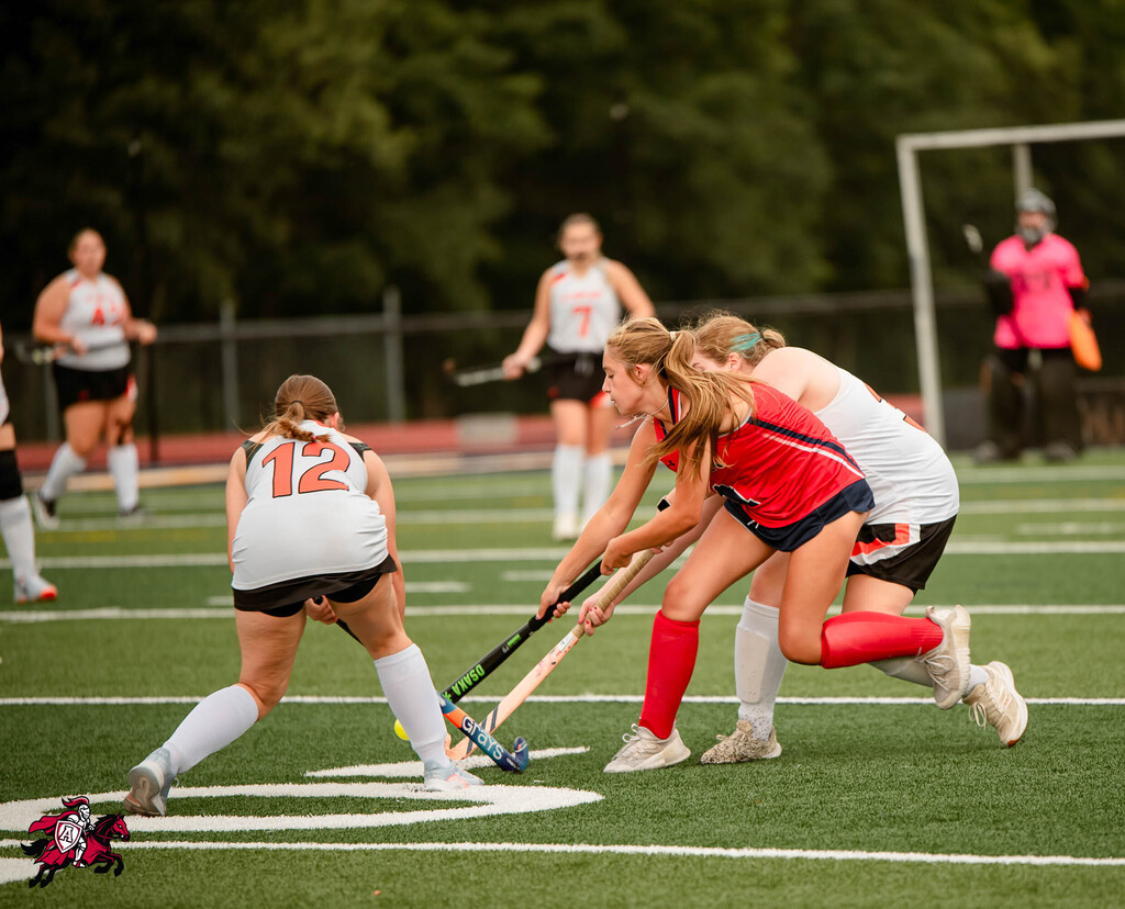 Field hockey players in action on a field. One player is chasing the ball. The field has white markings.