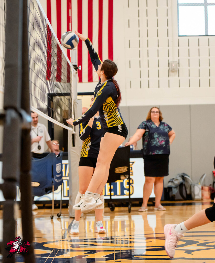 A female volleyball player jumps in the air to hit a ball over the net. Others are standing on the sidelines.