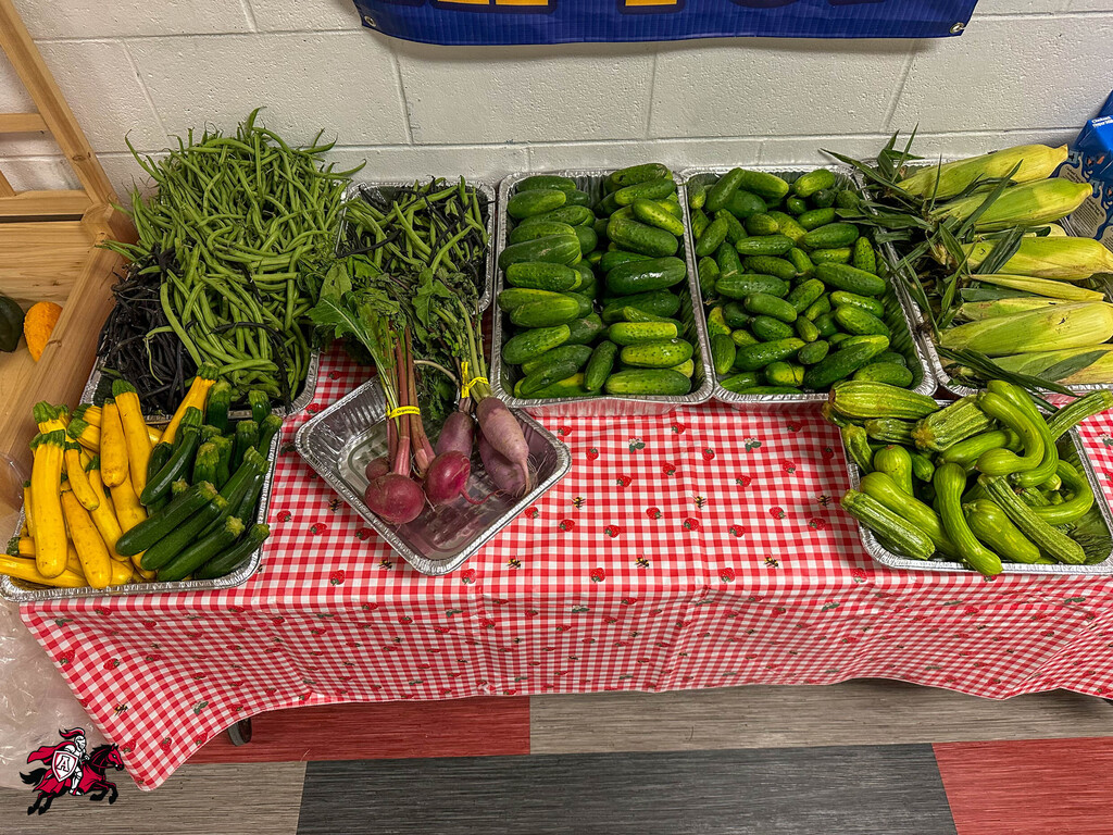 A table with a red and white checkered tablecloth displays trays of green beans, cucumbers, corn, and radishes.