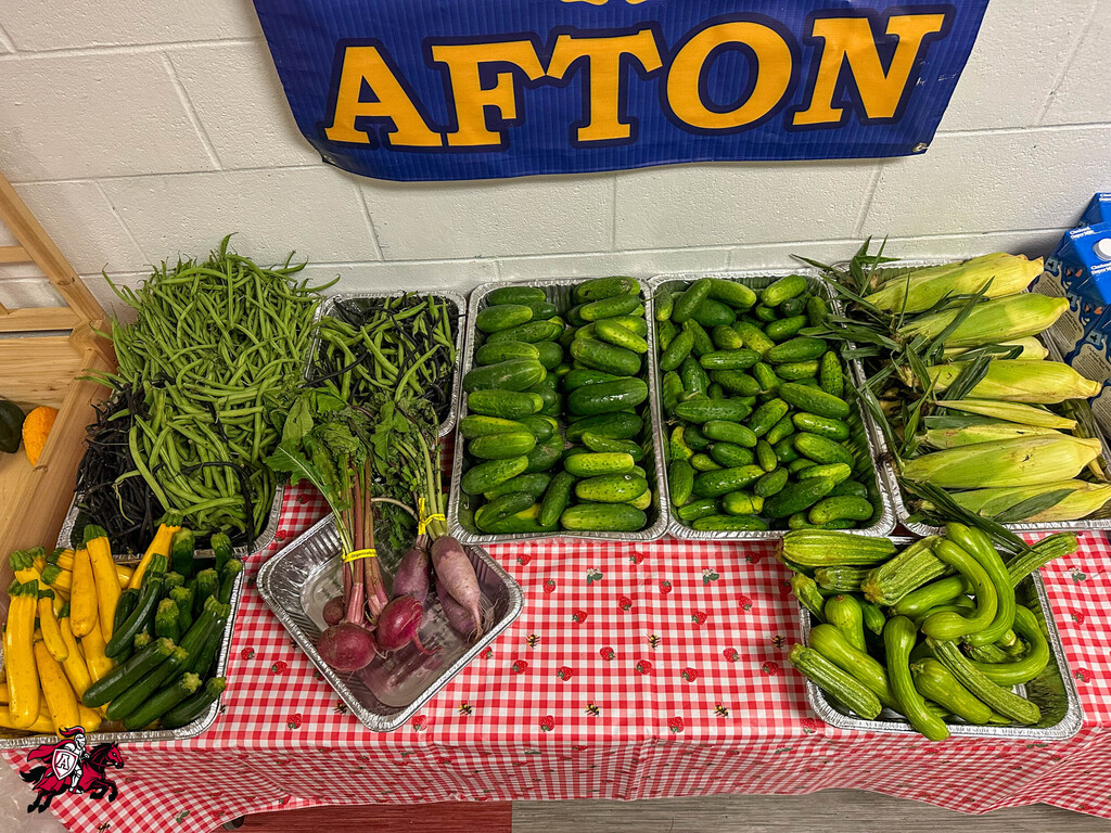 Table with red-checked tablecloth displaying a variety of vegetables in aluminum trays. Banner reading "AFTON" above.
