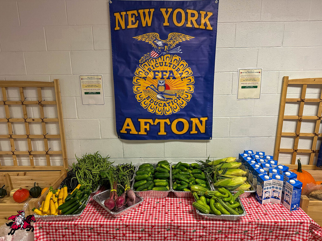 A table with a red-and-white checkered tablecloth displays an assortment of fresh vegetables. A blue banner with "NEW YORK" and "FFA" is above.