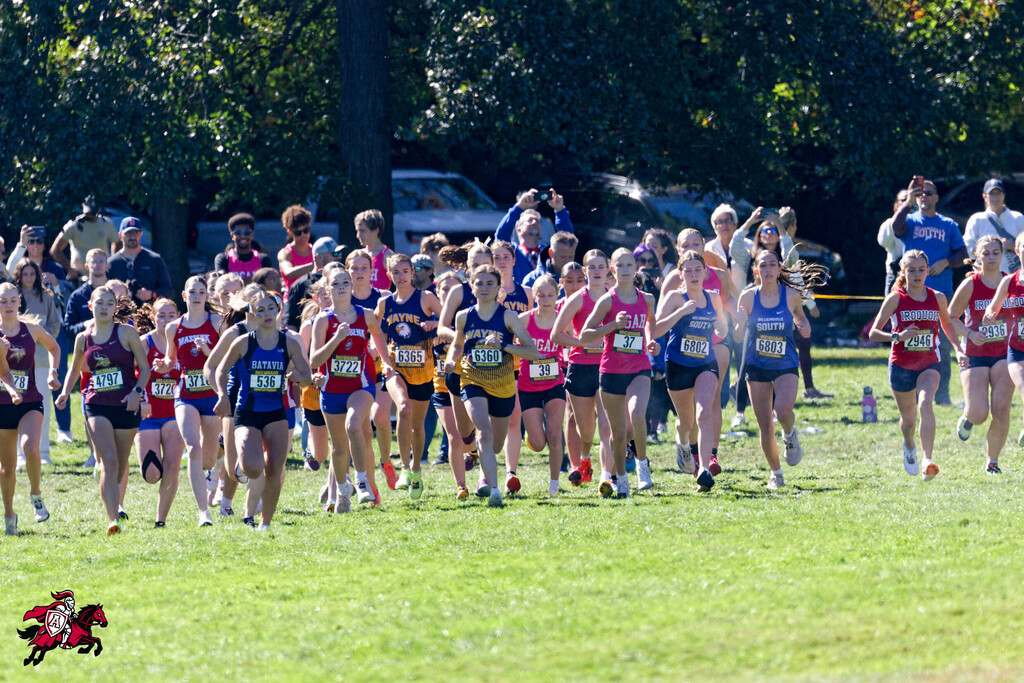 A group of athletes in running gear, some with numbers, running in a grassy area.