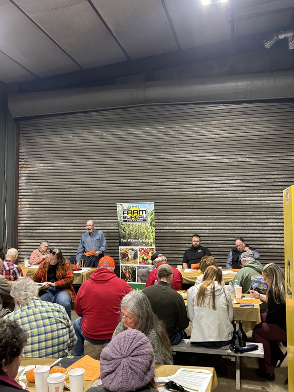 Group of people in a meeting at tables