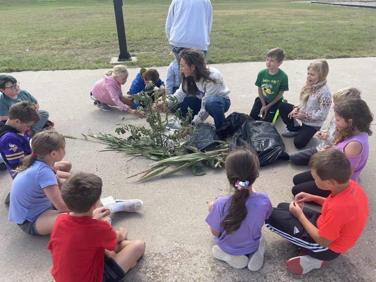 Second Graders learning about crops that grow in Sully County in Ag in the Classroom 