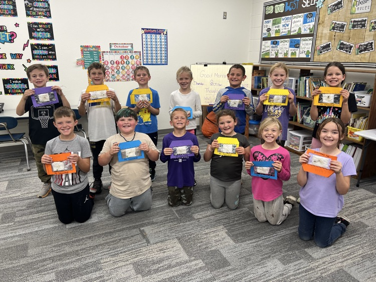 Plant a soybean, watch it grow!