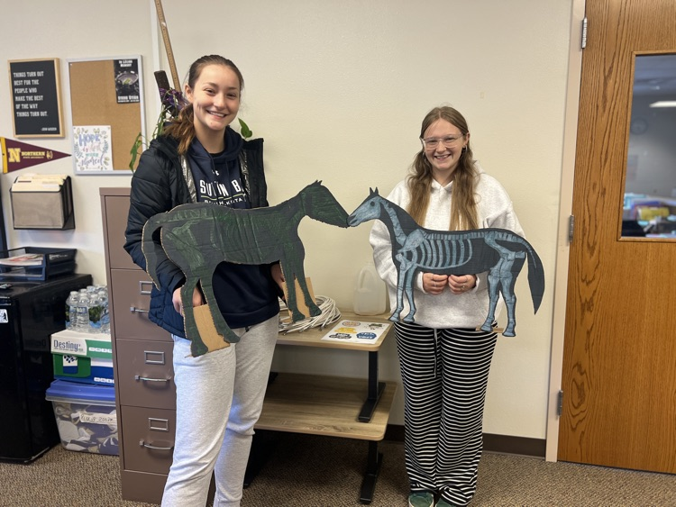 Animal Skeleton Silhouettes