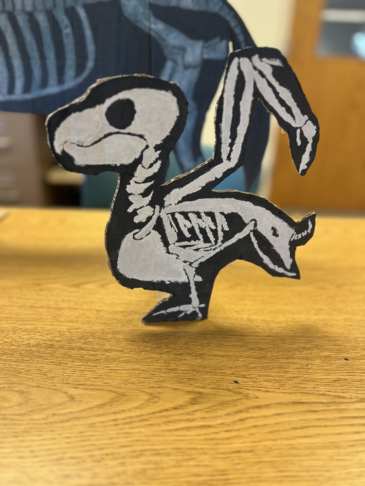 Animal Skeleton Silhouettes