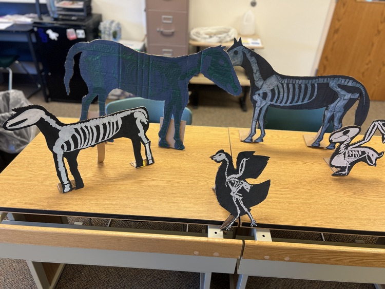 Animal Skeleton Silhouettes