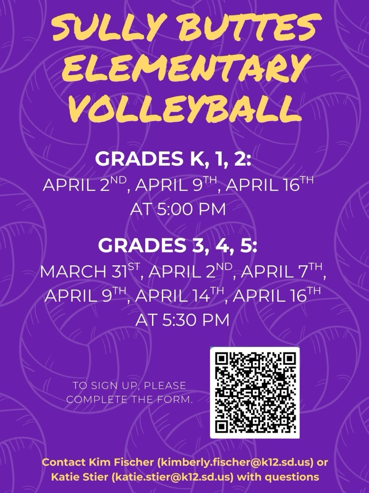 elementary volleyball flyer 