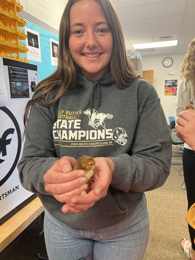 chicks