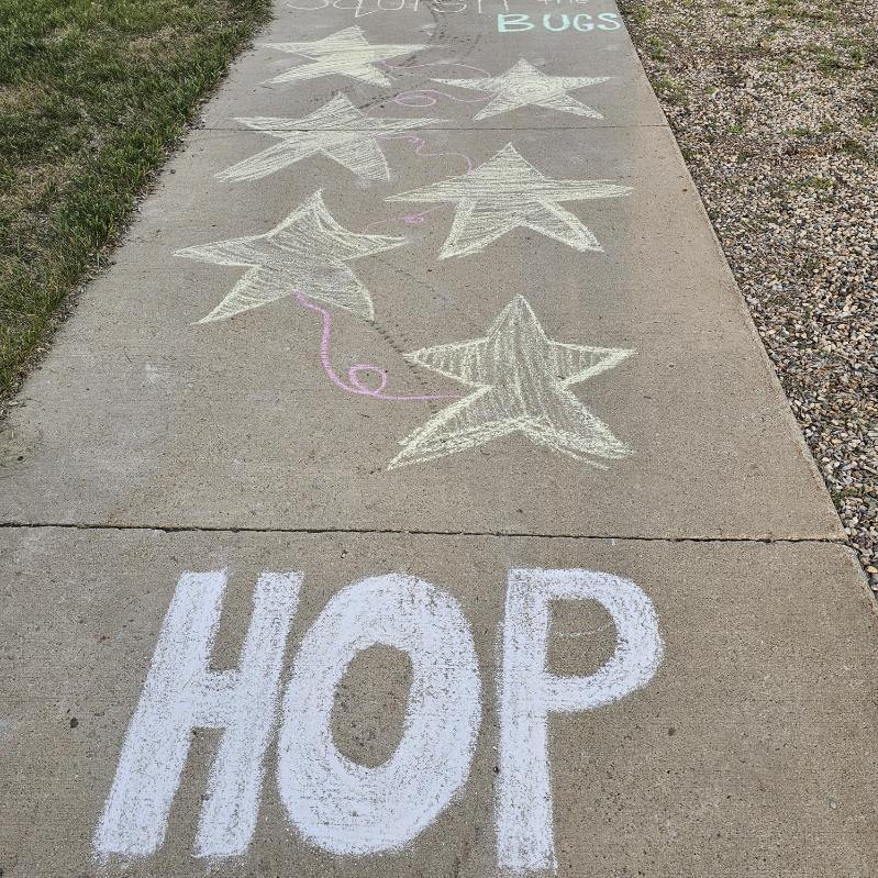 Hop