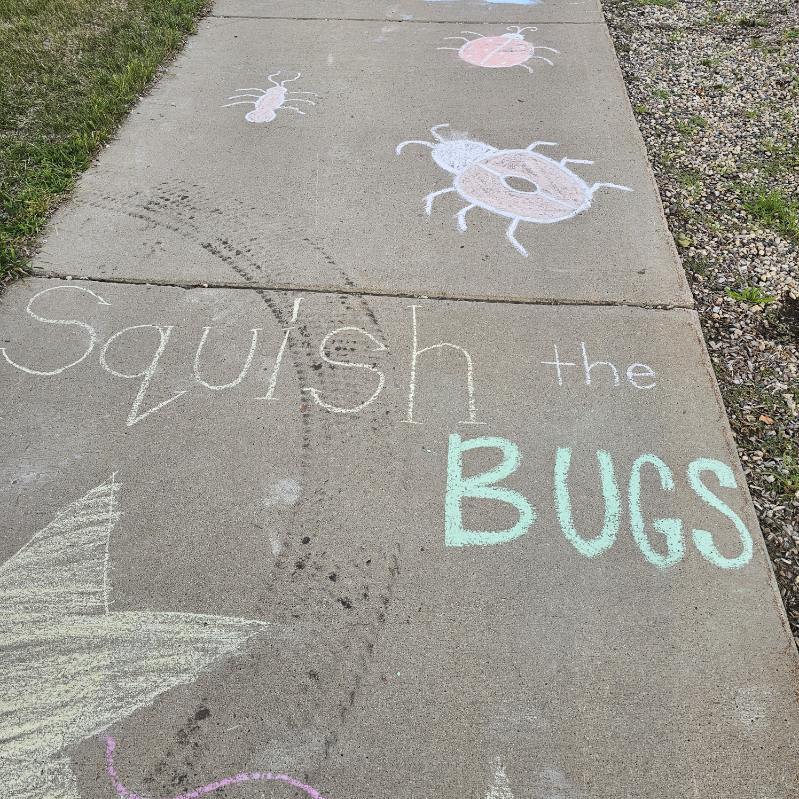 Bugs