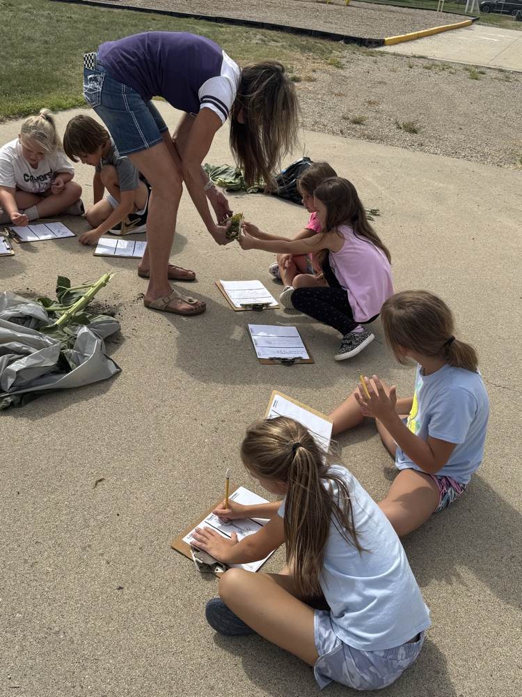 Second Graders learning about Sully county crops in Ag in the Classroom  