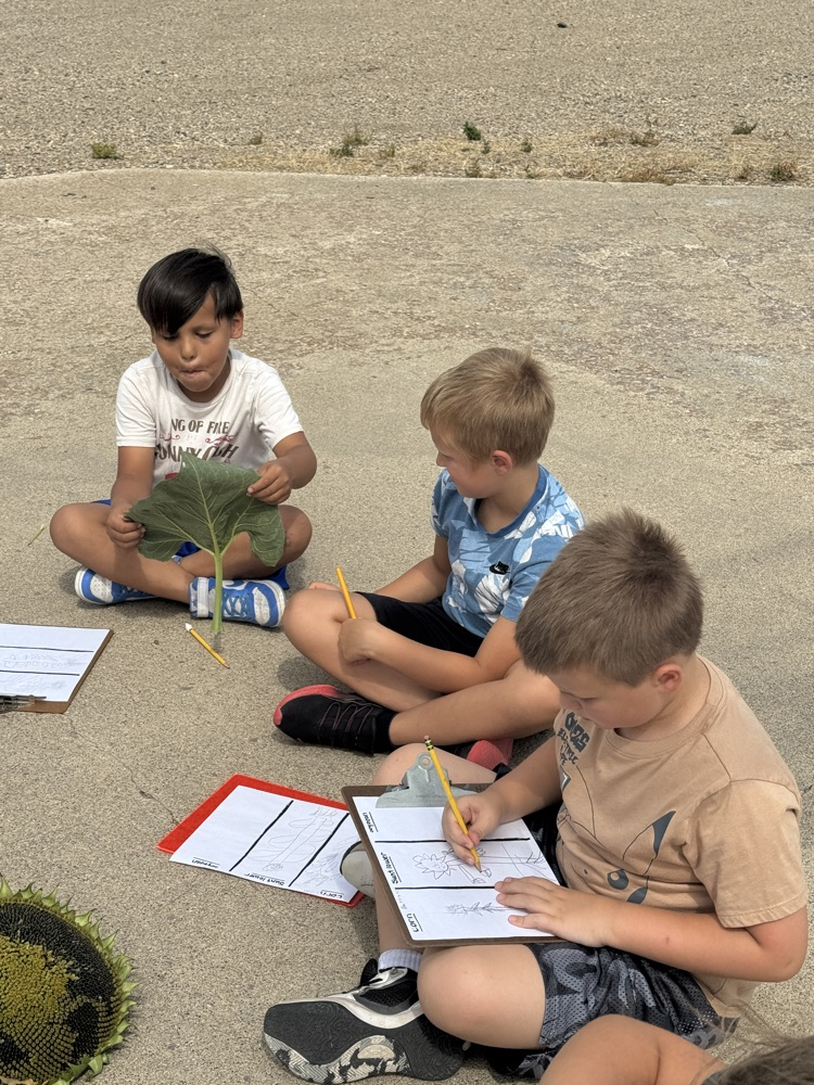 Second Graders learning about crops grown in Sully County in Ag in the Classroom  