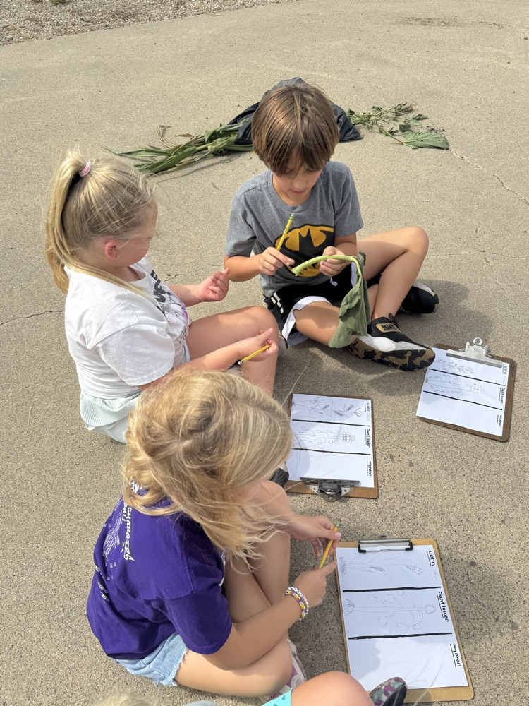 Second Graders learning about the crops grown in Sully County in Ag in the Classroom  