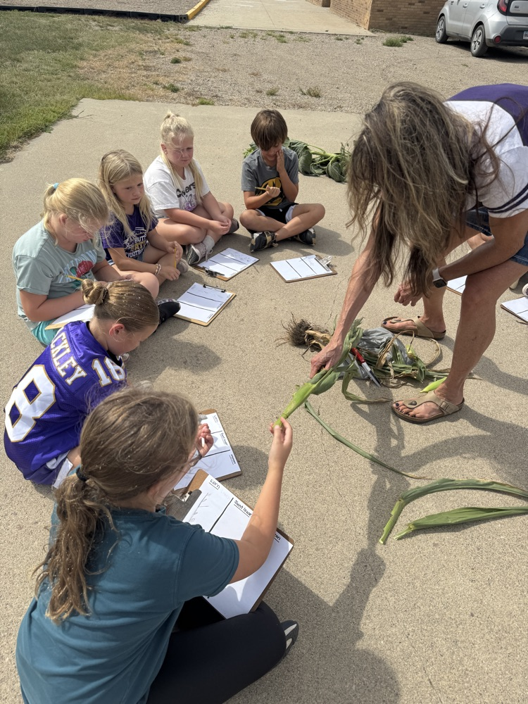 Second Graders learning about the crops grown in Sully County in Ag in the Classroom  