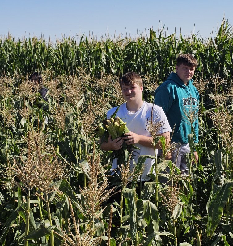 How many pickers do you see?  Hint: there are three!