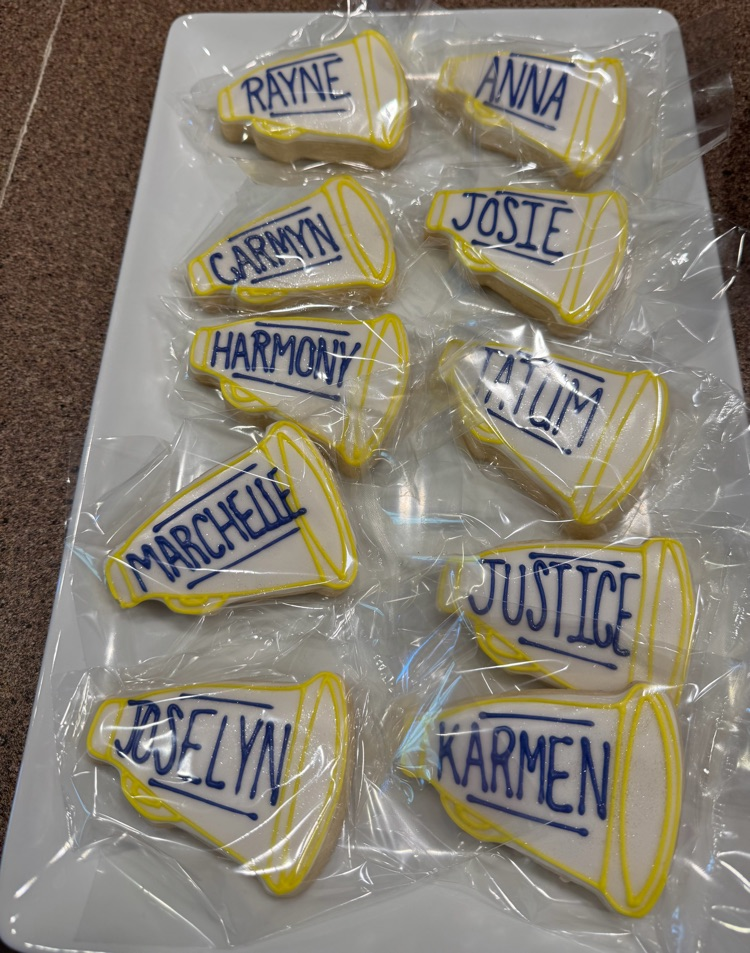 Little Bakeshop on the Prairie cookies!!!