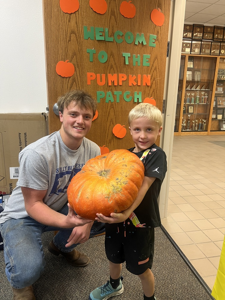 pumpkins with preschoolers