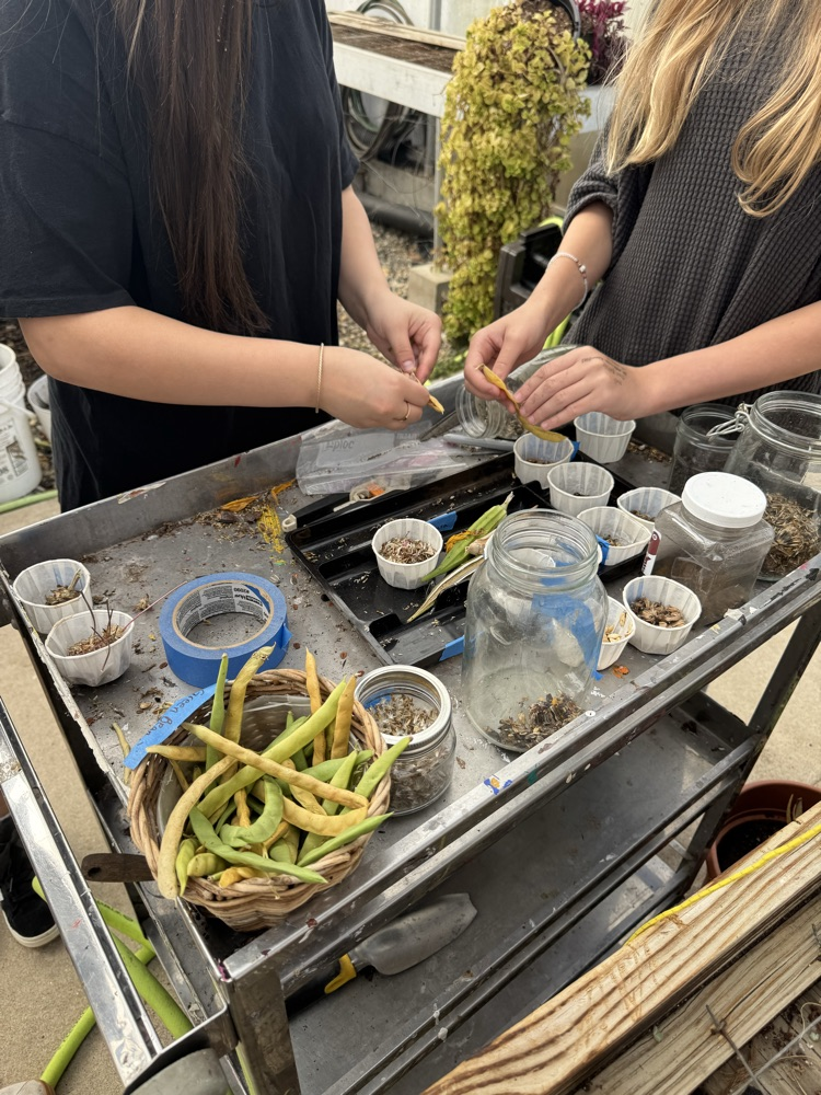 agriculture engineering class