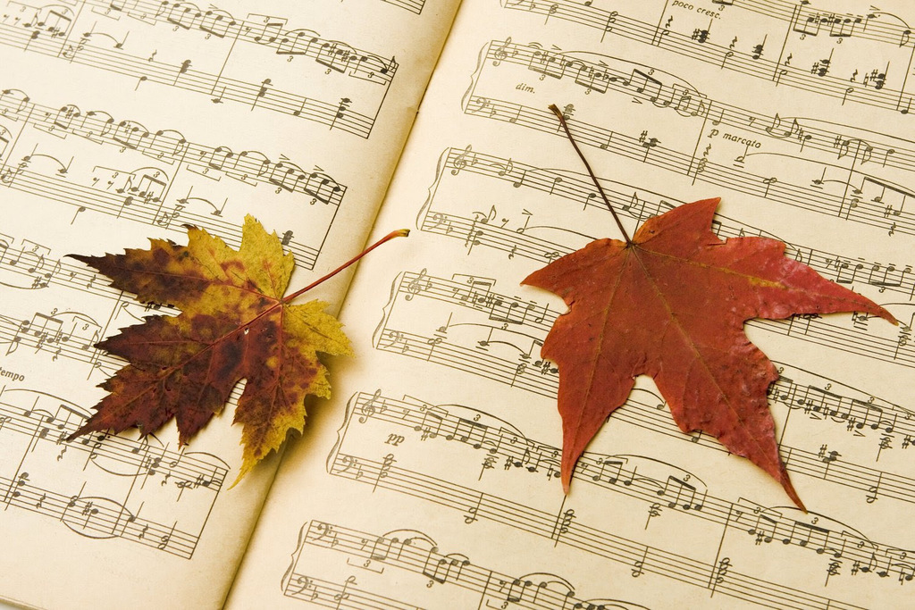 Fall leaves on a sheet of music