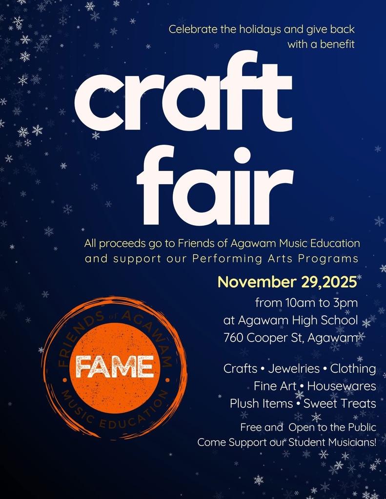 AHS music dept craft fair