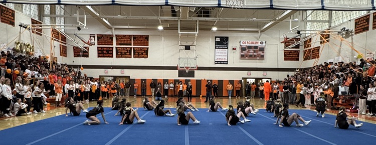 orange and brown day