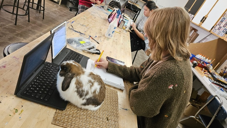 For Social media:  “AP ART is always working hard researching and creating “ 