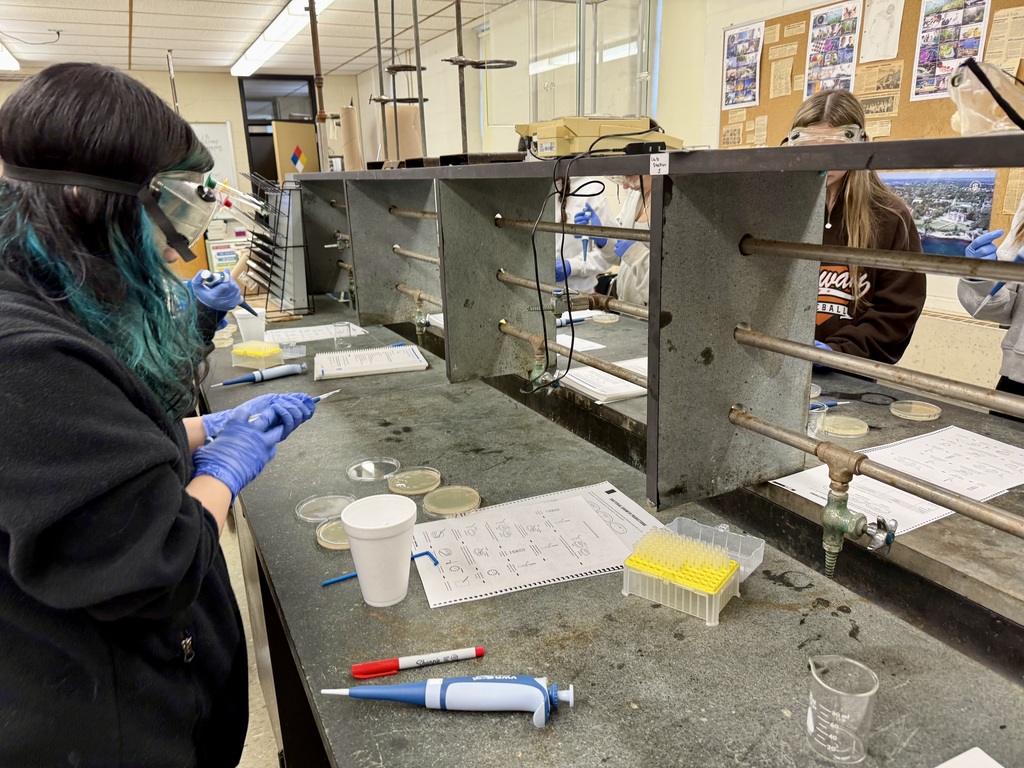 Mrs. Roderick's Honors Genetics Class Lab