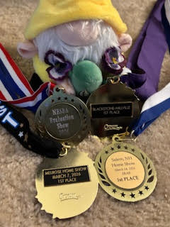 Winter guard Competition medals