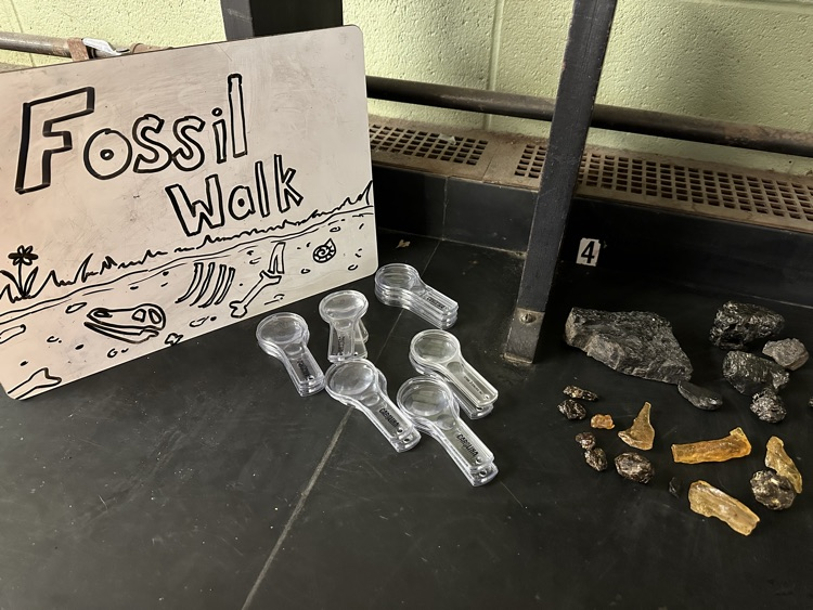 fossil lesson