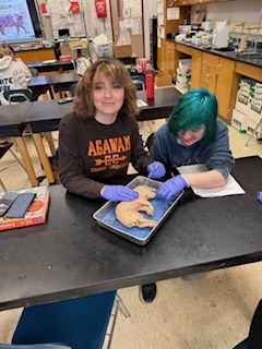 students sitting at science table