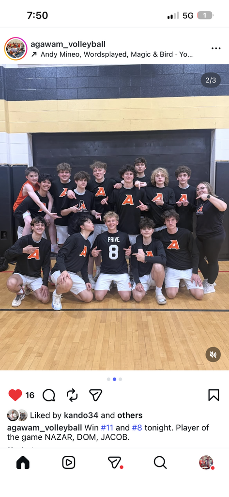 boys volleyball