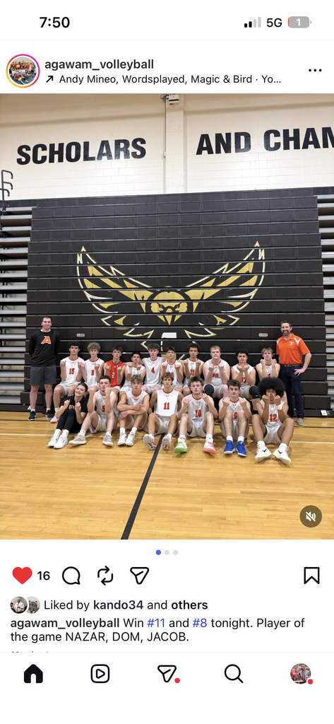 boys volleyball
