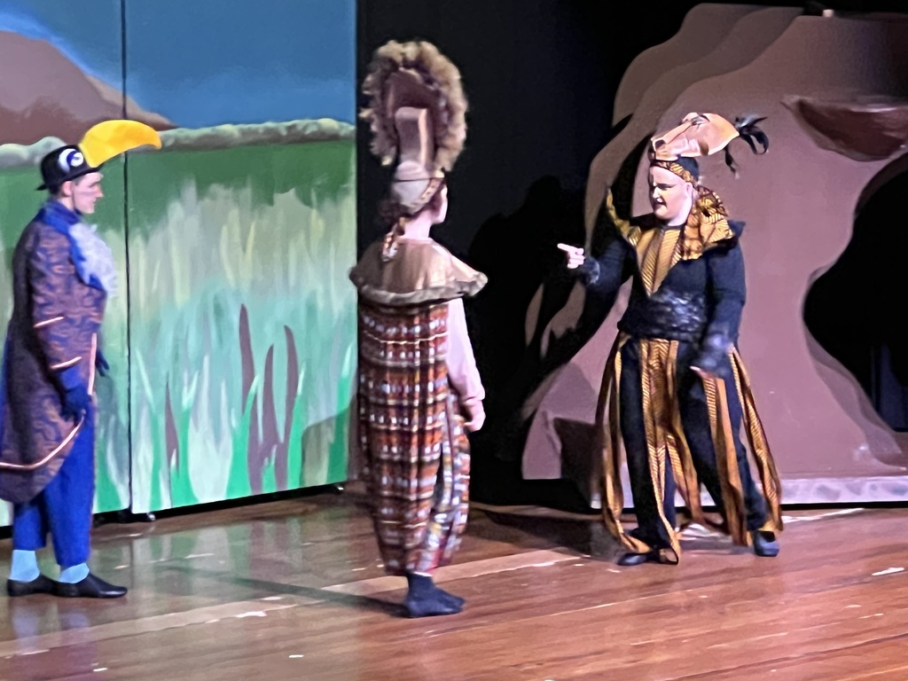 Lion King performance
