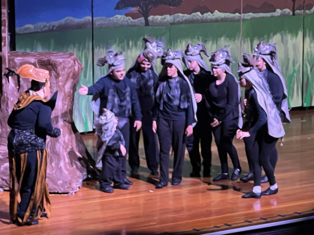 Lion King performance