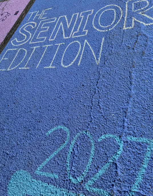 AHS senior students painting their parking spots