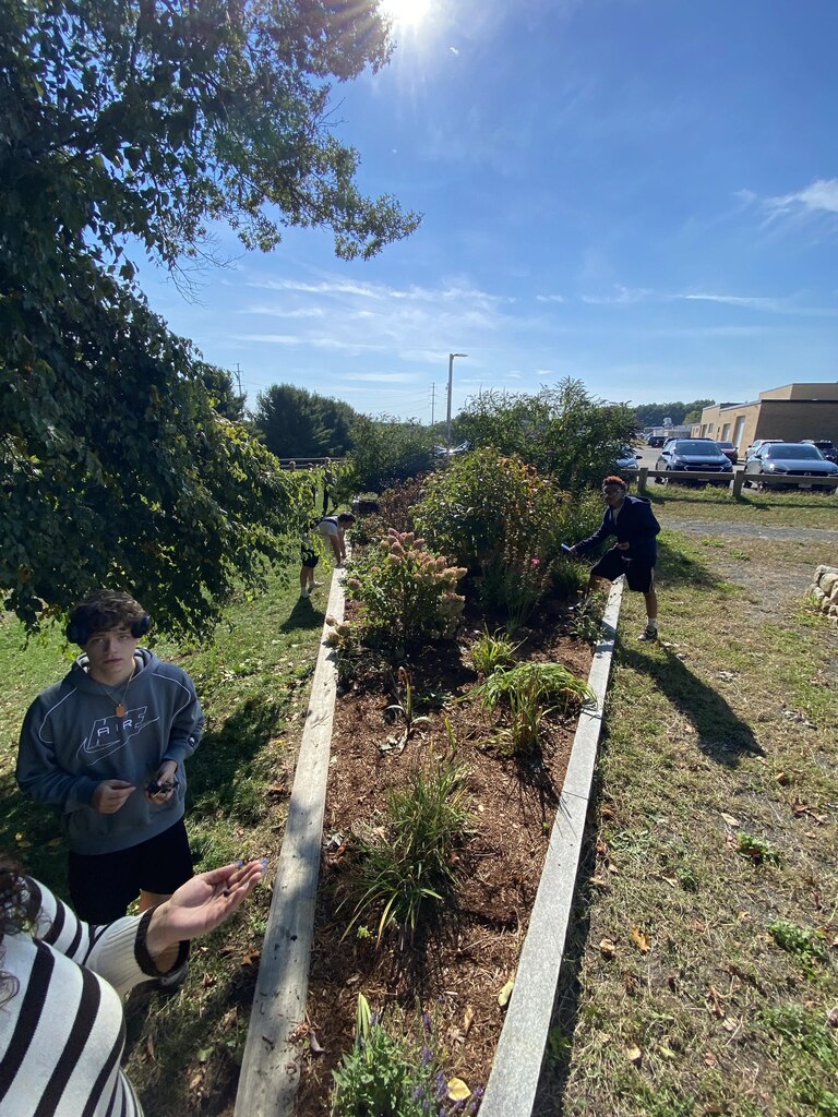 pollinator garden