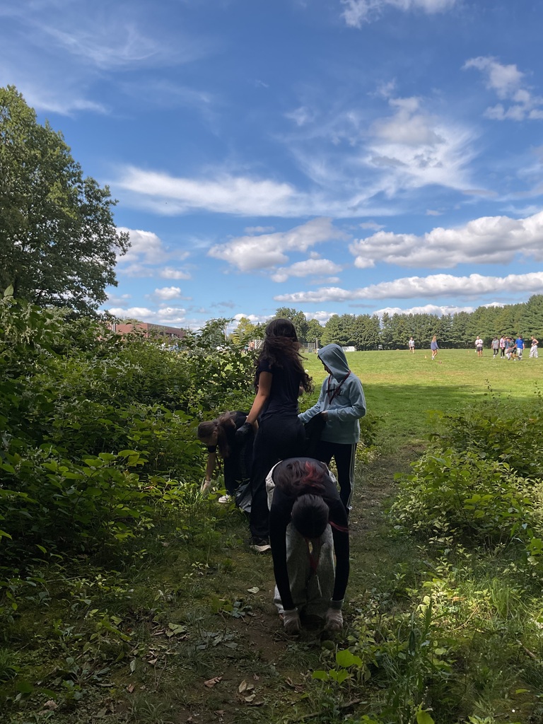 students in the woods picking up trash