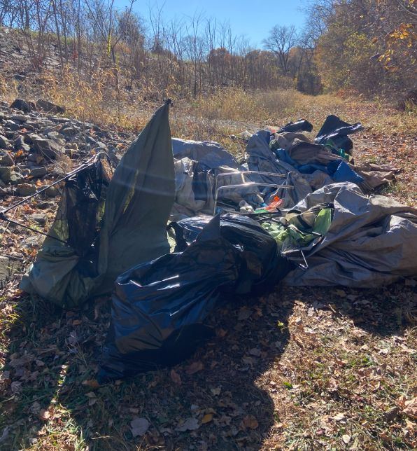 Pynchon point clean up