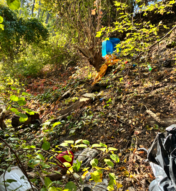 Pynchon point clean up