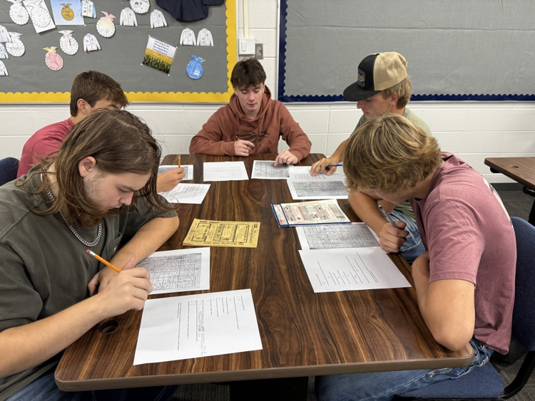 Students working on a class activity using Plat books